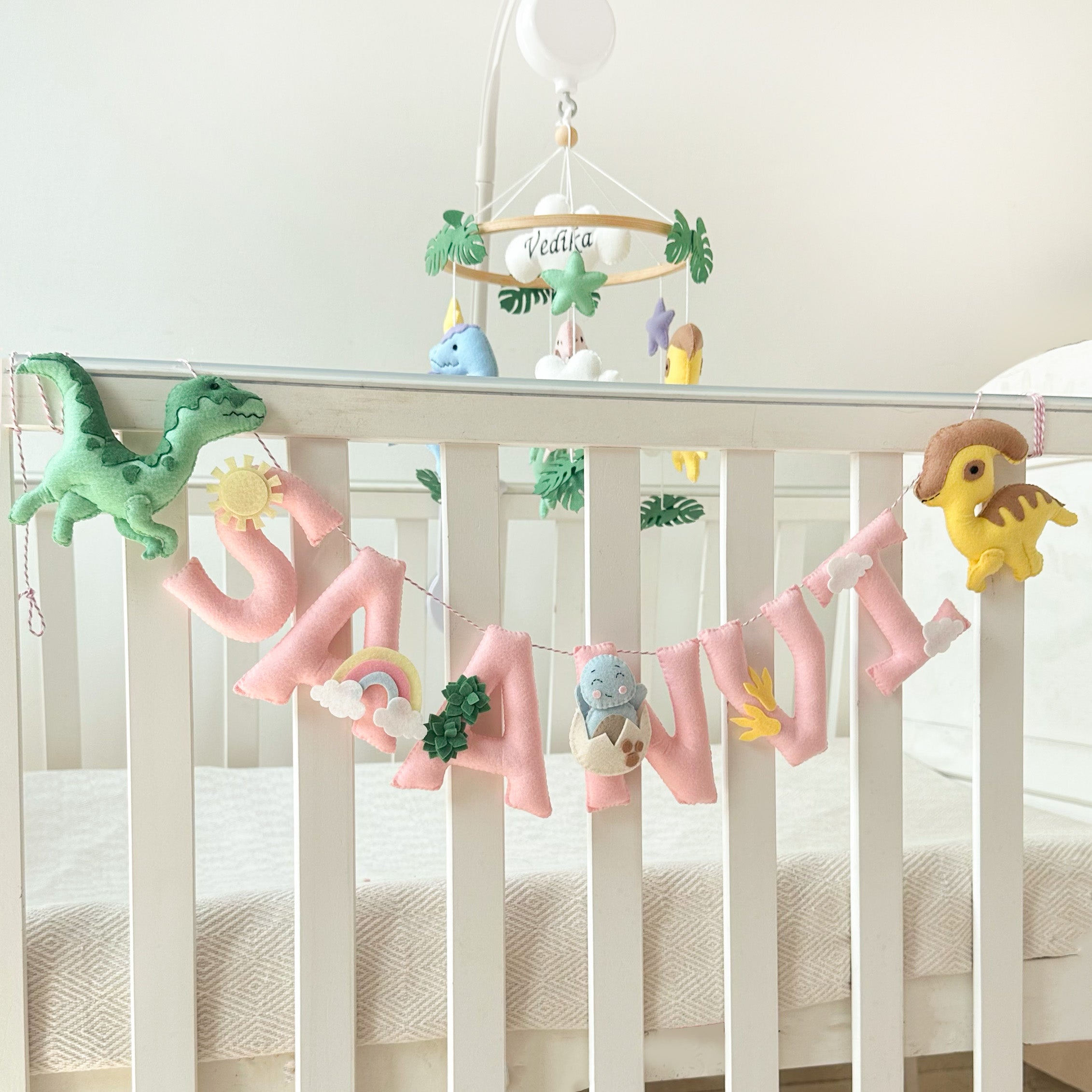 Dinosaur Dreams Name Hanging