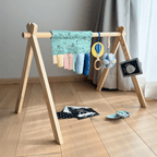 Montessori Play Gym