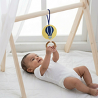 Montessori Play Gym