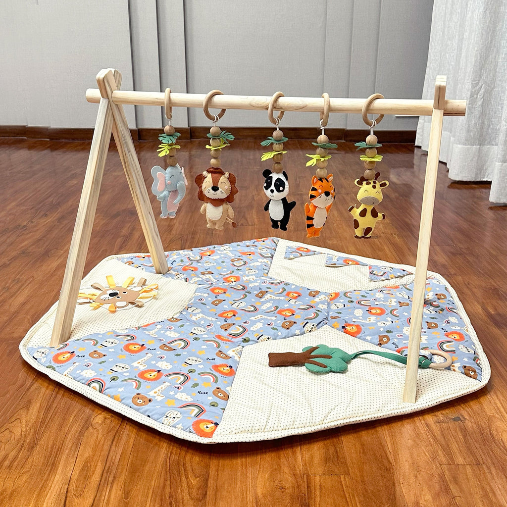 Blue Lion Play Gym