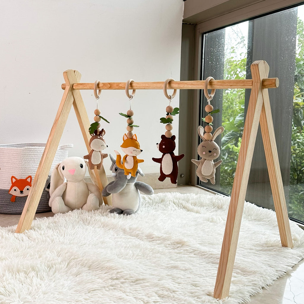 Woodland Explorer Play Gym