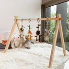 Woodland Explorer Play Gym