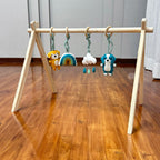 Dogs Play Gym