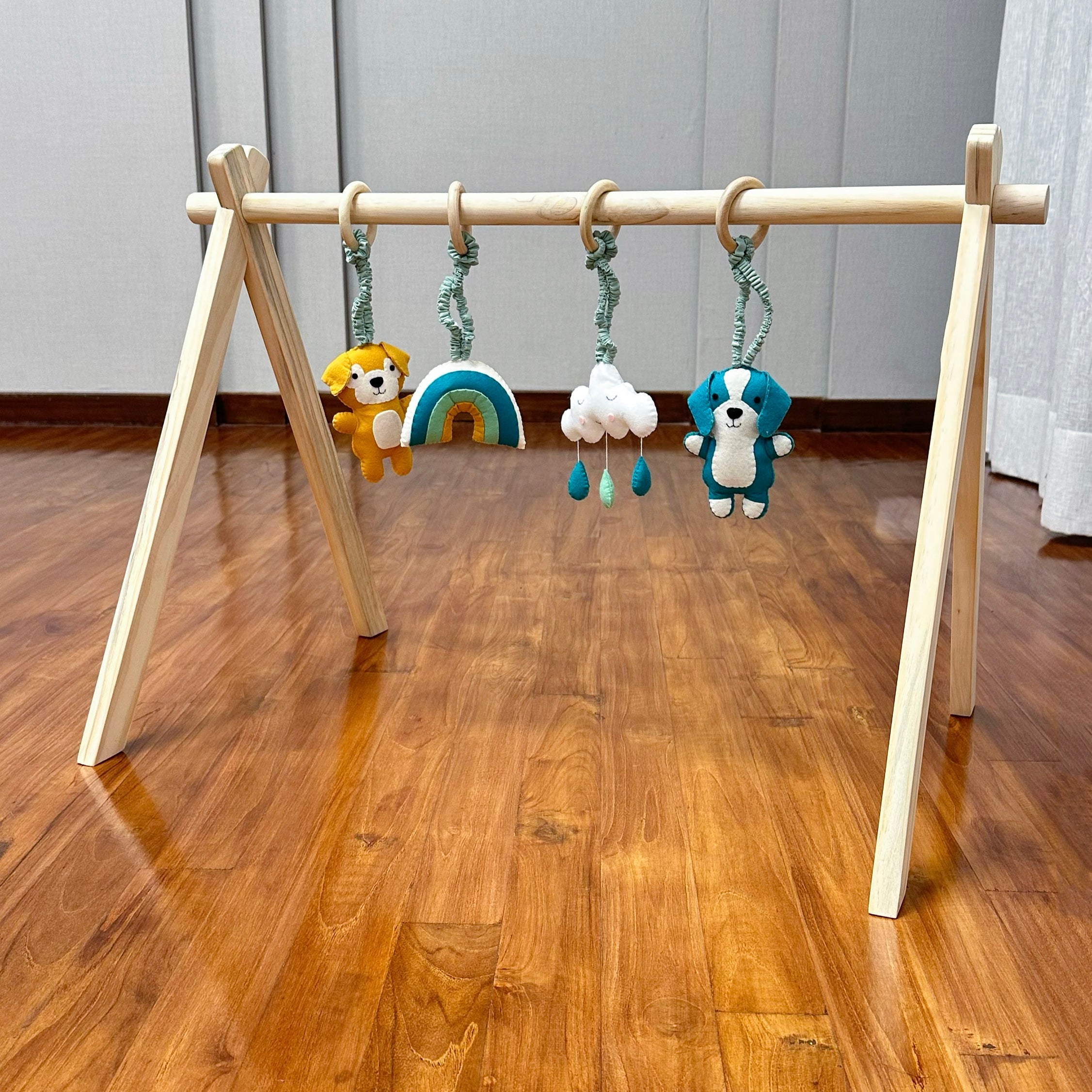 Dogs Play Gym