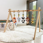 Jungle Explorer Play Gym